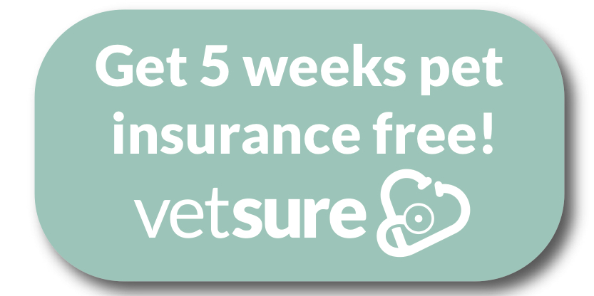 Get 5 weeks pet insurance free