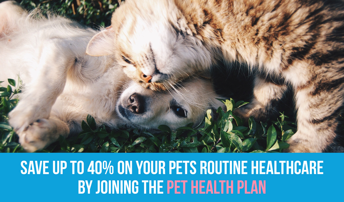 Save up to 40% on your pets routine healthcare by joining the Pet Health Plan