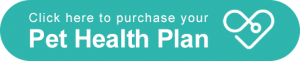 Click here to purchase your Pet Health Plan